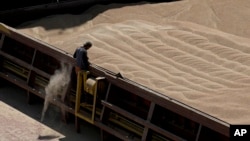 A worker oversees the unloading of Ukrainian cereals from a barge in the Black Sea port of Constanta, Romania. 