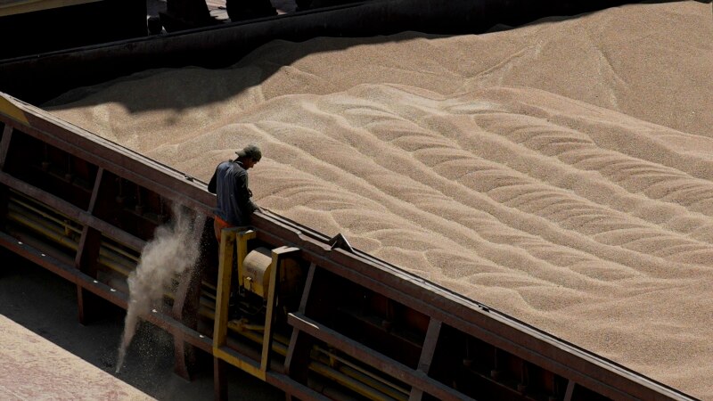 Comisarul UE pentru agricultură cere prelungirea restricțiilor pentru importurile de cereale din Ucraina
