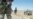U.S. Wants New Probe On Herat Air-Strike Casualties