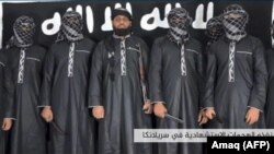 Імаверныя сьмяротнікі