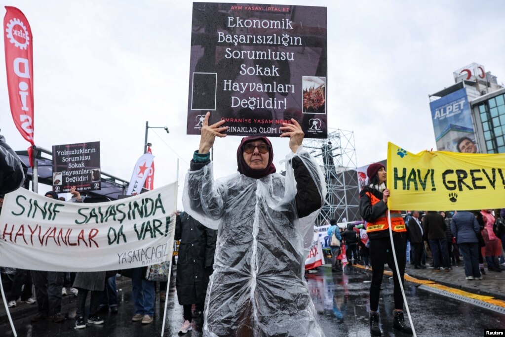 Një grua në Stamboll duke protestuar për gjendjen ekonomike në Turqi.