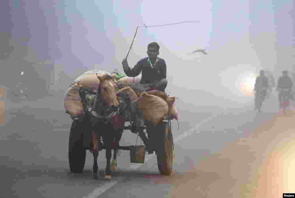 A man transports sacks of rice in a horse-drawn cart amid heavy fog in Allahabad, India. (Reuters/Jitendra Prakash)