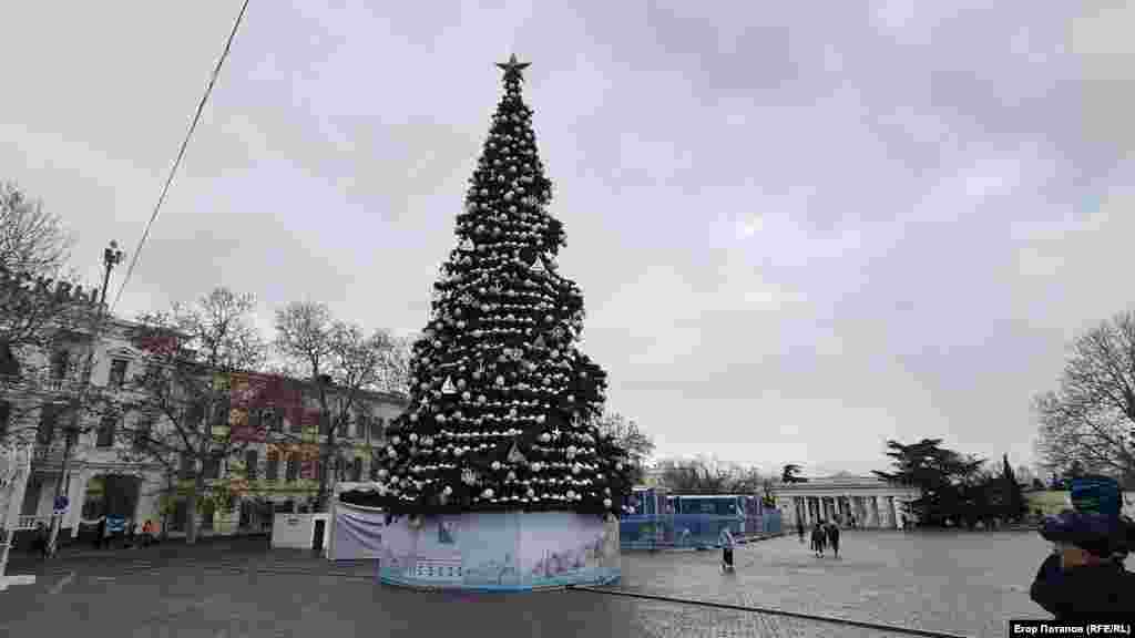 Главная городская новогодняя елка Севастополя, установленная к встрече Нового 2026-го года на площади Нахимова
