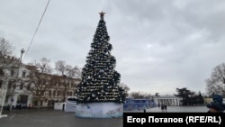 Главная городская новогодняя елка Севастополя, установленная к встрече Нового 2026-го года на площади Нахимова