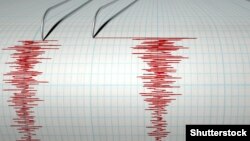 сеизмограф прикажува сеизмичка и земјотресна активност