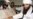 UN Sanctions Unlikely To End Haqqani Safe Haven In Pakistan