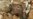 Mummified Body Most Likely That Of Iranian Shah, Says Grandson