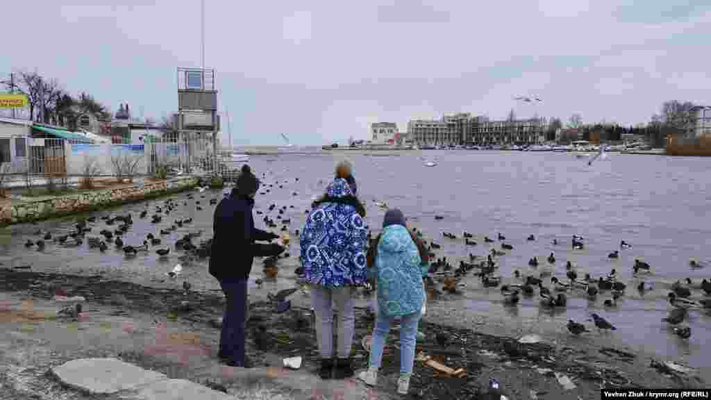 Севастопольці в бухті Омега годують качок і голубів