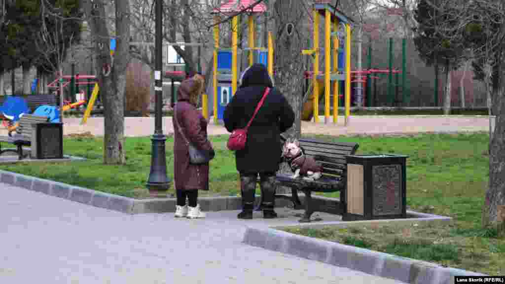 У сквері імені Ленінського комсомолу жінки гуляють із домашніми улюбленцями