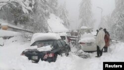 People stand next to cars stuck under fallen trees on a snowy road in Murree, Pakistan. January 8, 2022.