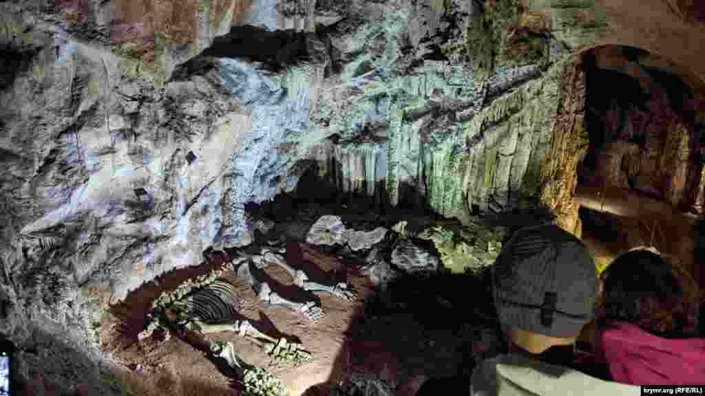 Останки мамонта, найденного в пещере. Из-за этого пещеру еще называют Мамонтовой