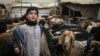 A boy stands next to livestock in a market in Kabul.