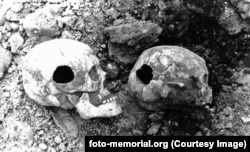 Agyonlőtt emberek koponyái, akik feltehetően egy krasznojarszki koncentrációs tábor foglyai voltak a húszas években