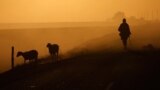 Республика Калмыкия. Пастух у дороги