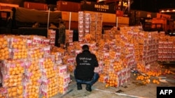 A customs agent checks boxes of oranges that included fake fruit filled with captagon after the shipment was intercepted at the Beirut port in December 2021.