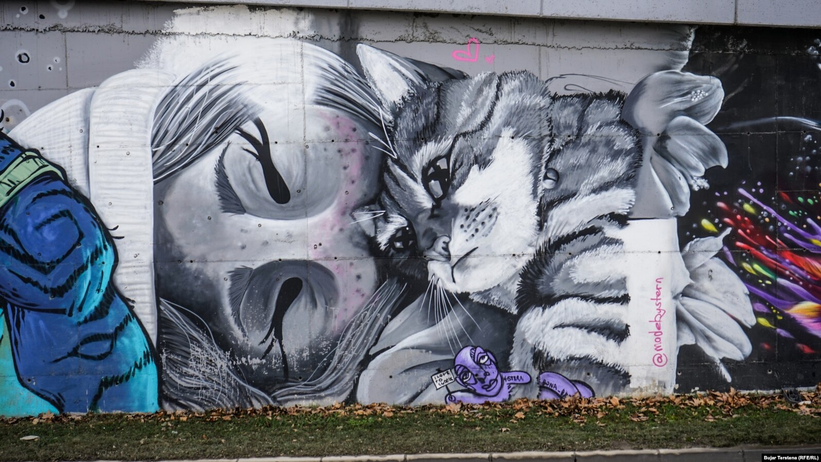 Një vajzë e shtrirë me mace. Mural i punuar nga Krystel Suire në rrugën që të çon në Fushë Kosovë (rreth 7 km larg Prishtinës).