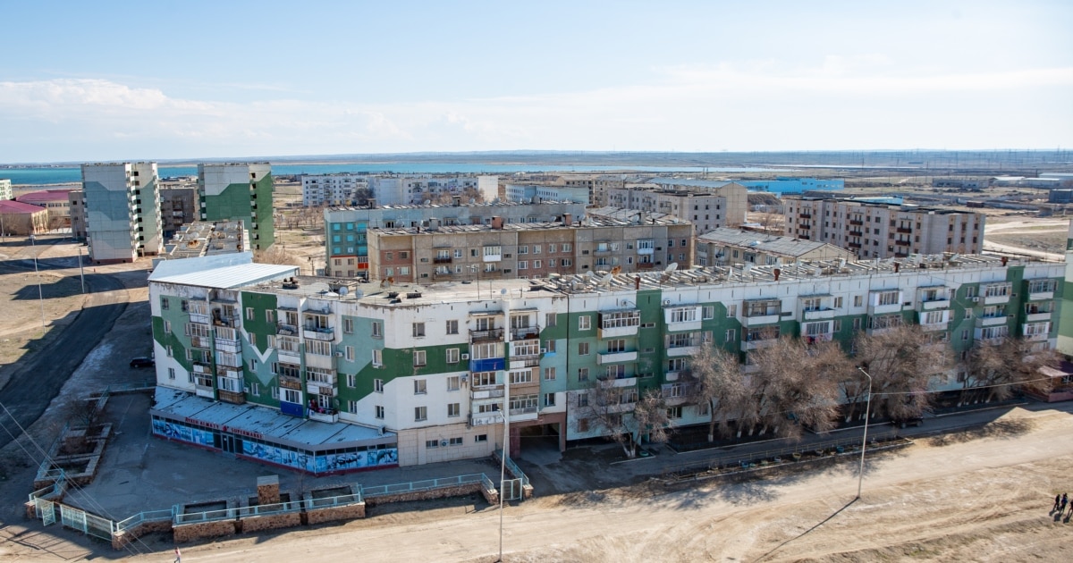 Камилланың үлкен фотосы Камилланың үлкен фотосы