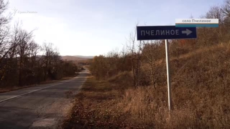Их всего шестеро: крымское село Пчелиное и его жители (видео)