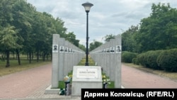Алея Героїв, яку відкрили 30 червня у Деснянському районі Києва