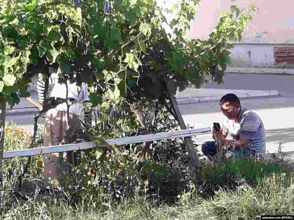 Ýer işleýän ýaşaýjylar