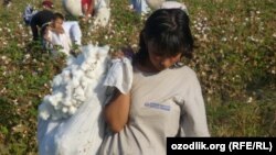 Özbəkistanda uşaq əməyi, 2011