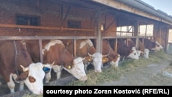 Farma u selu Stubal, Kraljevo, Srbija