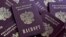 Russia -- Blanks Russian passports are seen in Ryazan, February 28, 2014