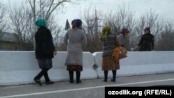 Работники бюджетных организаций в Каттакурганском районе Самаркандской области занимаются побелкой бетонных барьеров на магистральной дороге.
