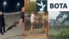 Përleshje fizike në pompat e derivateve në Rusi mes krizës me karburante 