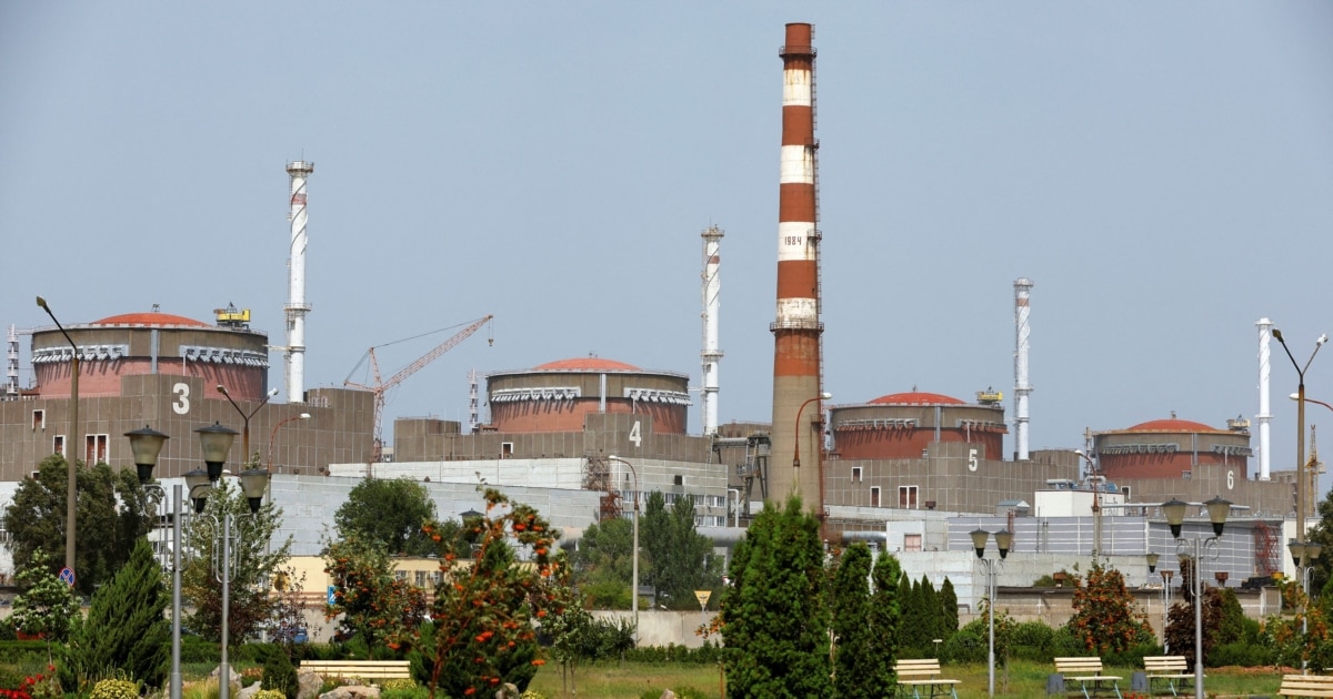 Ukraine's Russia-Controlled Zaporizhzhya Nuclear Plant Disconnected From  Power Grid