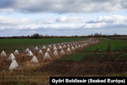 Sárkányfognak becézett erődítések a Zaporizzsjai területen 2024. november 16-án. Az akadályok lelassítják vagy feltartóztatják a páncélozott vagy gépesített alakulatok előrenyomulását