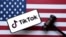 FILE PHOTO: Illustration shows Tik Tok logo, U.S. flag and a judge gavel