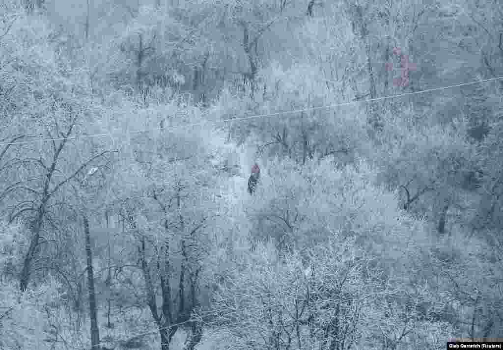 People walk amid snow-covered trees on a frosty morning in Kyiv, Ukraine.&nbsp;