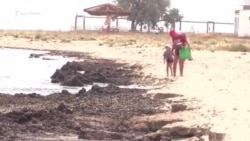 В крымском Заозерном тонны водорослей выбросило штормом на пляж (видео)