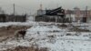 Кучета бродят по улиците на разнебитеният квартал на Кизил, където много хора живеят в разнебитени сгради без достъп до водопреносната мрежа, канализация или отопление