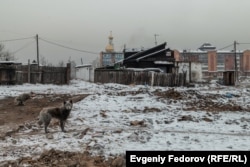 Dogs wander the streets of Kyzyl's ramshackle Shanghai district where many people live in dilapidated accommodation without water, sewage, or heating.