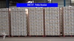 503 kilograme de cocaină descoperite din greșeală