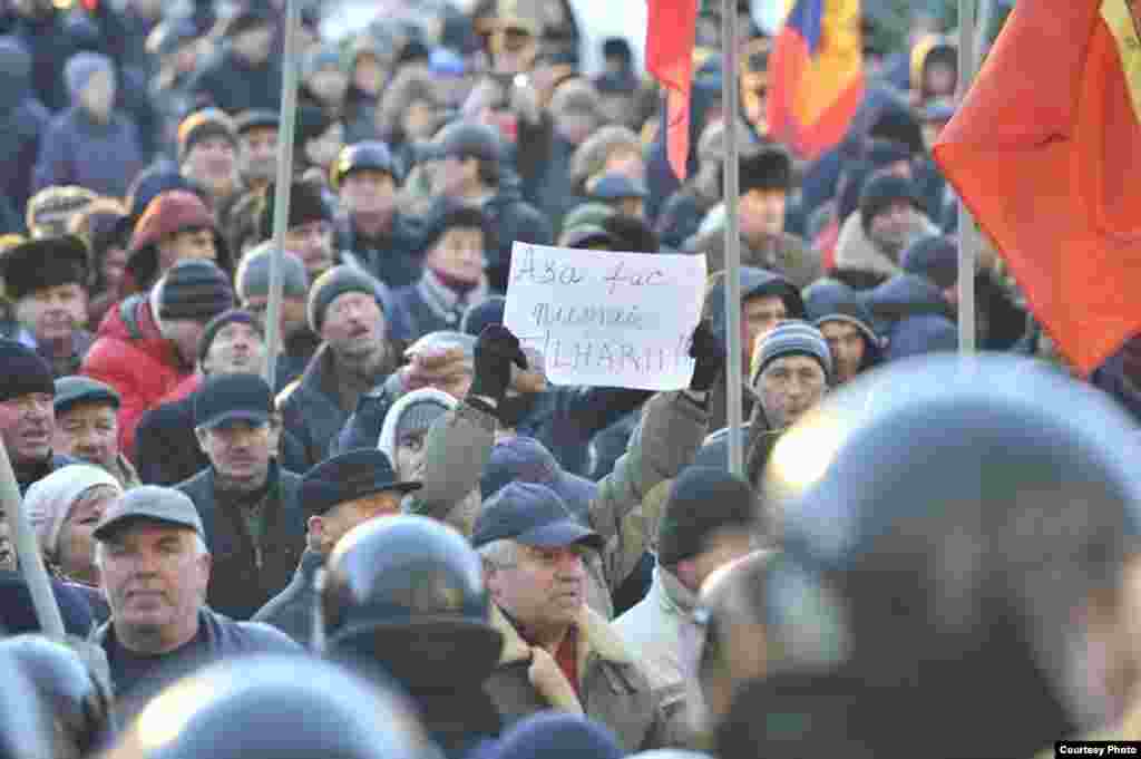 (foto: Constantin Grigoriță)