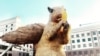 GRAB-Kazakhs Go Nuts Over Giant Squirrel