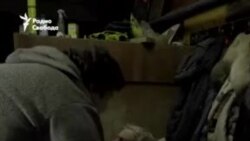 "Не хотели уезжать" 