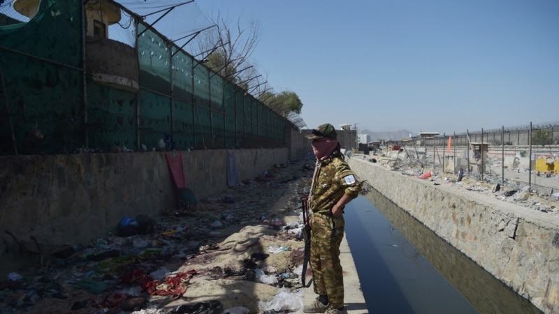 Кабулехь теракташ дайтина даIишхо вийна, хаам бина Американ Цхьаьнатоьхначу Штаташа