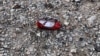 West Ramps Up Pressure On Iran Over Crash Probe