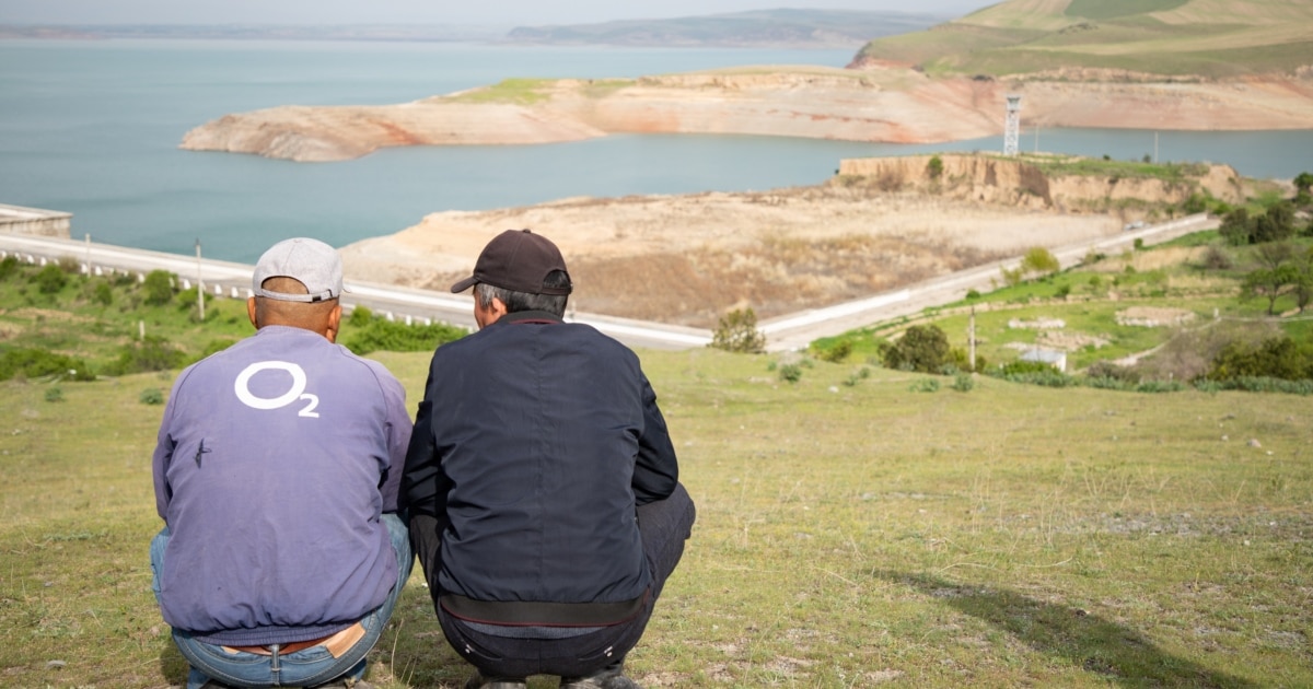 Reich porno onlayn Porno kino buvilar