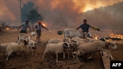 Încălzirea globală va duce la producerea mult mai frecventă a unor evenimente climatice extreme, spun experții.