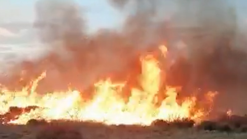 Голем шумски пожар над Кочани