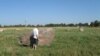 Belarus – The glacial boulder, Hrodna region, 27Jul2014