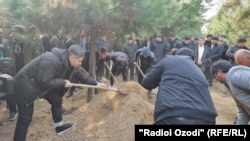 ДАФНИ МУҲСИН МУҲАММАДИЕВ