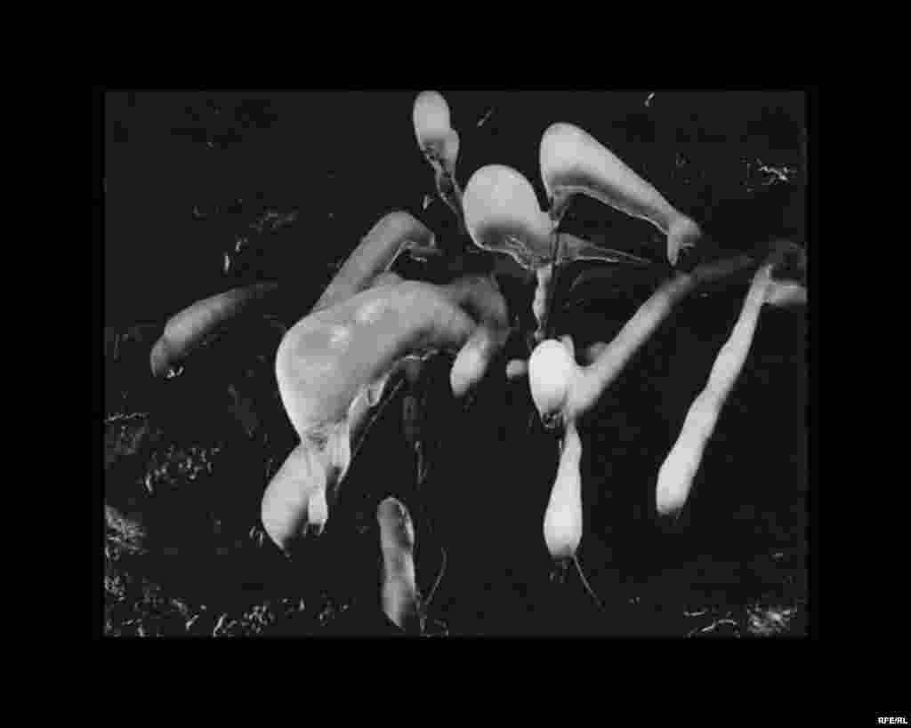 Kënga e fundit e akullnajës #17