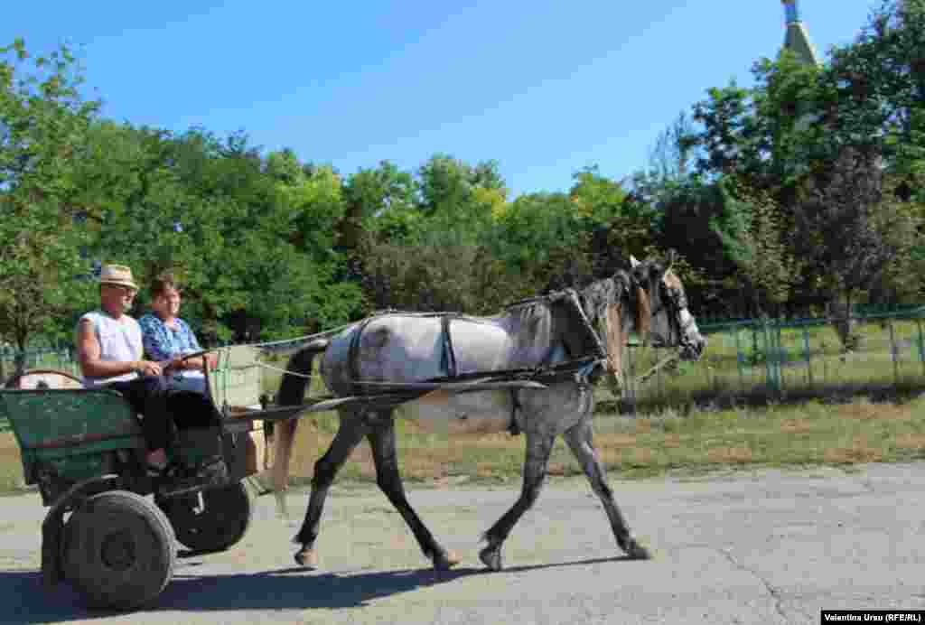 Moldova, Oameni și locuri din comuna Volintiri, raion Ștefan Vodă, august 2020