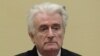 Former Bosnian Serb leader Radovan Karadzic (file photo)